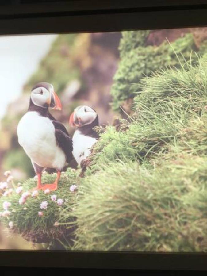 Hardy'S Cottage Doolin Bagian luar foto